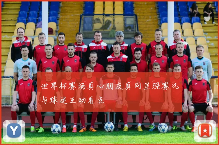 世界杯赛场真心朋友真网呈现赛况与球迷互动看点