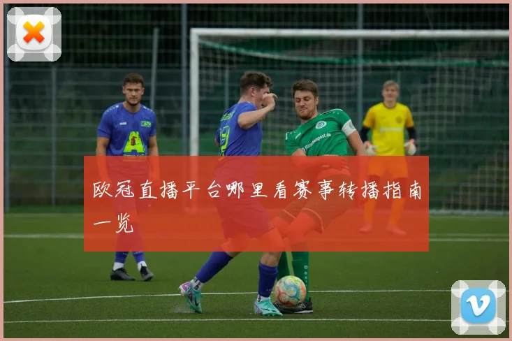 欧冠直播平台哪里看赛事转播指南一览