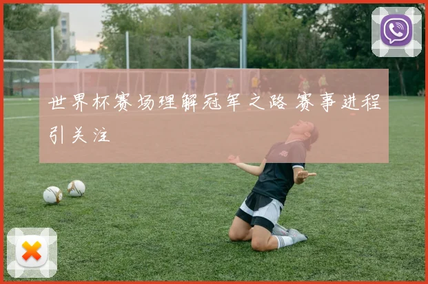世界杯赛场理解冠军之路 赛事进程引关注
