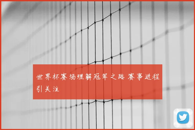 世界杯赛场理解冠军之路 赛事进程引关注